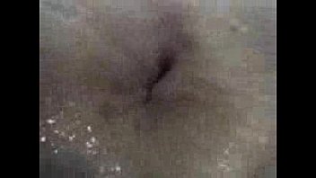 Buttcam  Film Inwards Vulva And Arse And Jaws Ideal Ass-fuck