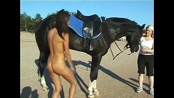 Cicciolina Horse Porn Videos @ Letmejerk.com